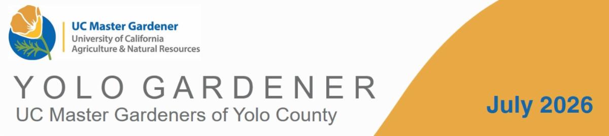 Yolo Gardener â UC Master Gardeners of Yolo County â July 2026.