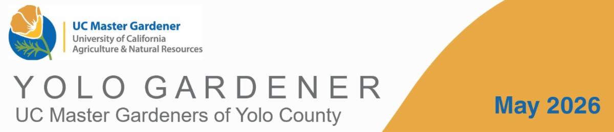 Yolo Gardener â UC Master Gardeners of Yolo County â May 2026.
