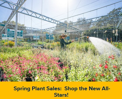 Photo of the UC Davis Arboretum plant sale.