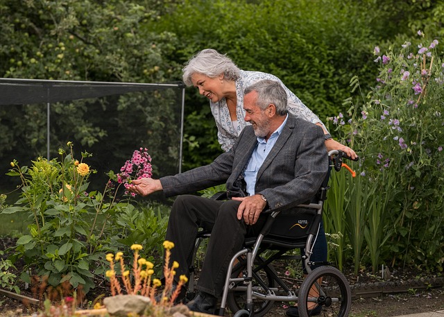 A couple enjoying a garden. The man in in a wheel chair.