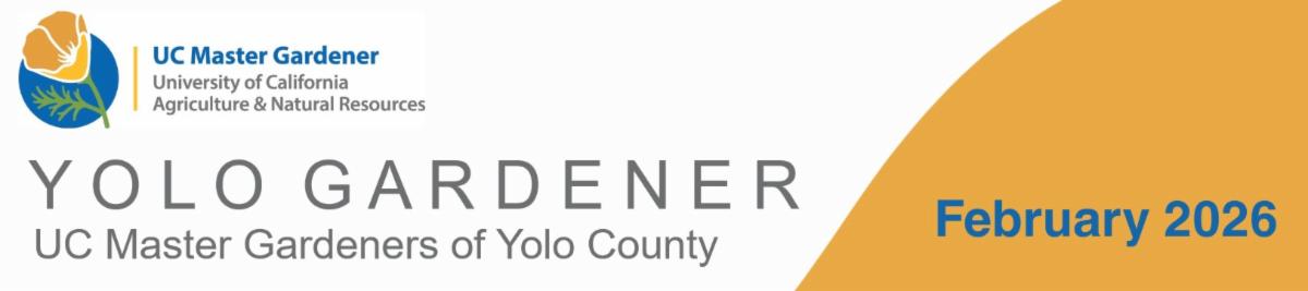 Yolo Gardener â UC Master Gardeners of Yolo County â February 2026.