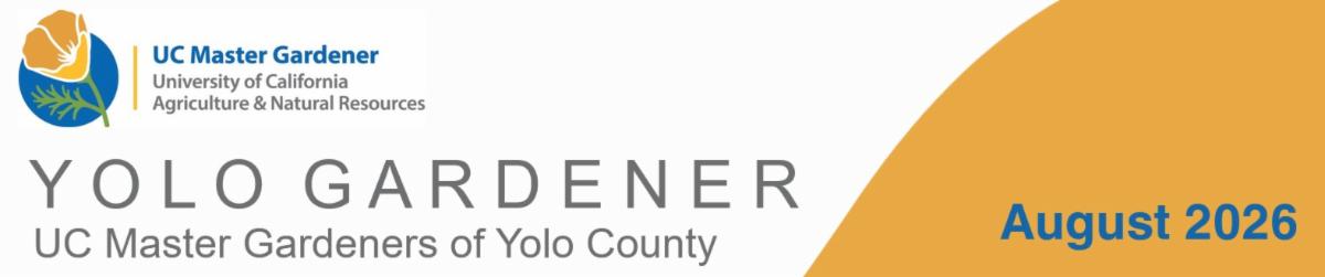 Yolo Gardener - UC Master Gardeners of Yolo County - July 2026.
