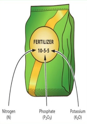 Illustration of a green and gold fertilizer bag showing ratios of 10% nitrogen, 5% phosphate, and 5% potassium.