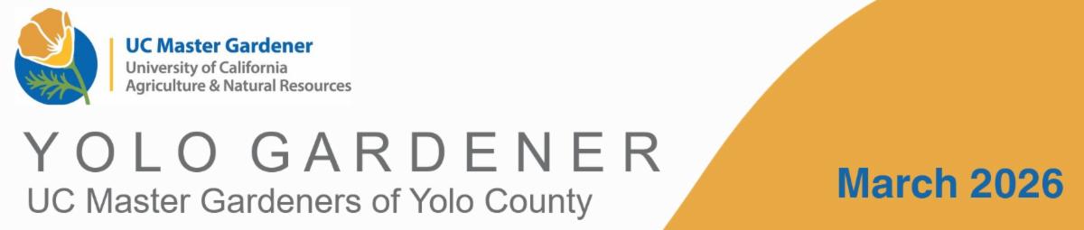 Yolo Gardener â UC Master Gardeners of Yolo County â March 2026.