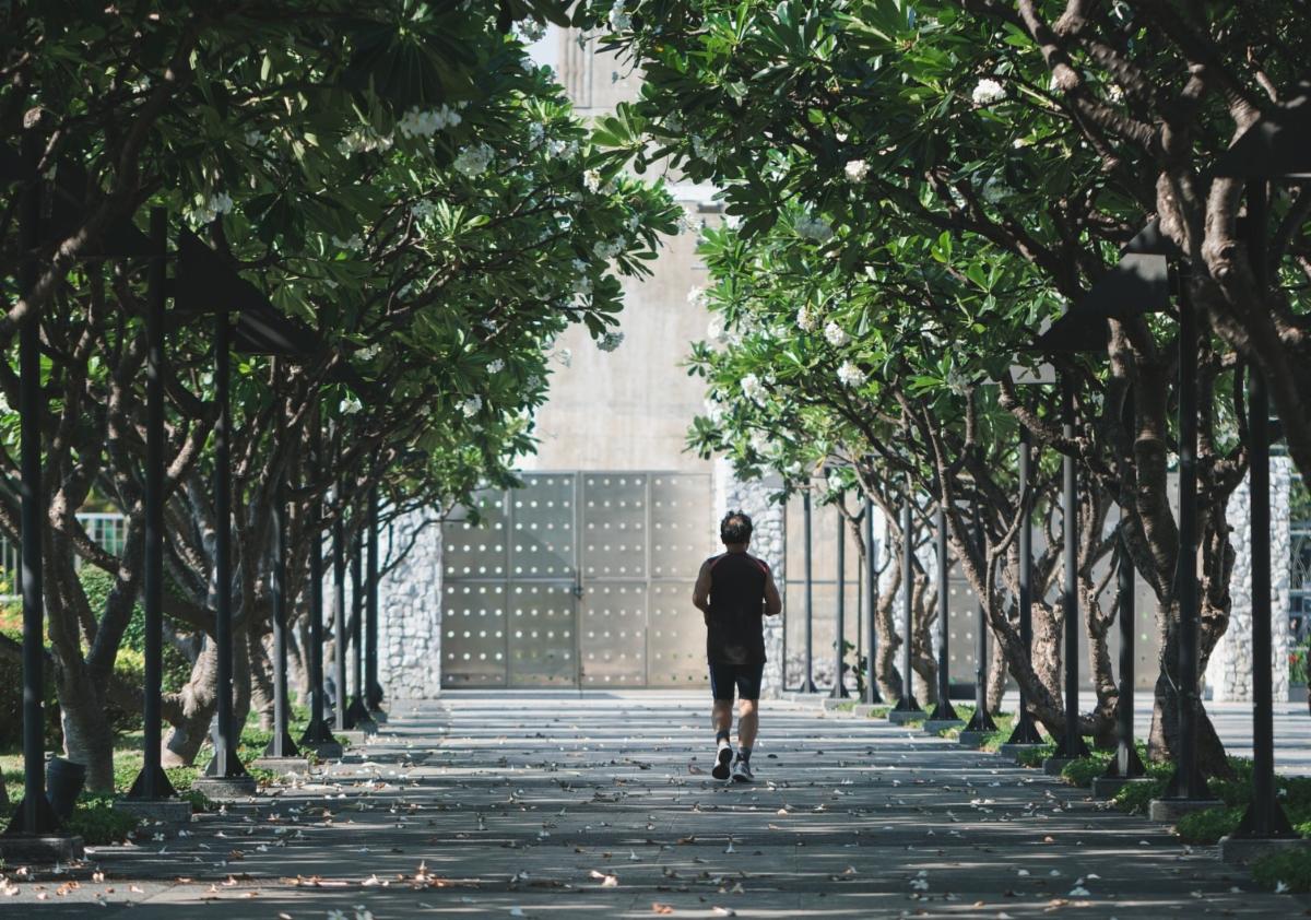 Photo of a jogger on a lovely, shaded, tree-lined walkway.