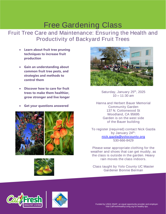 Fruit Tree Pruning Class Flyer
