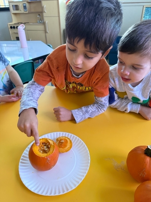 Children in Prachim and Shorashim exploring a pumpkin
