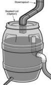 Rain Barrel