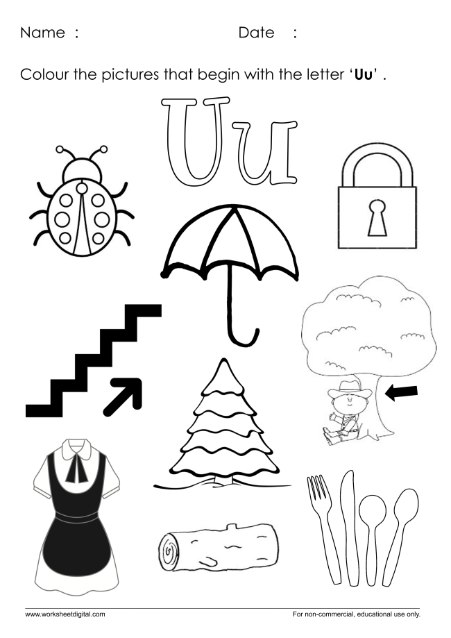 DCIU EHS, HS and PreK Counts Summer Enrichment 6 August 2024