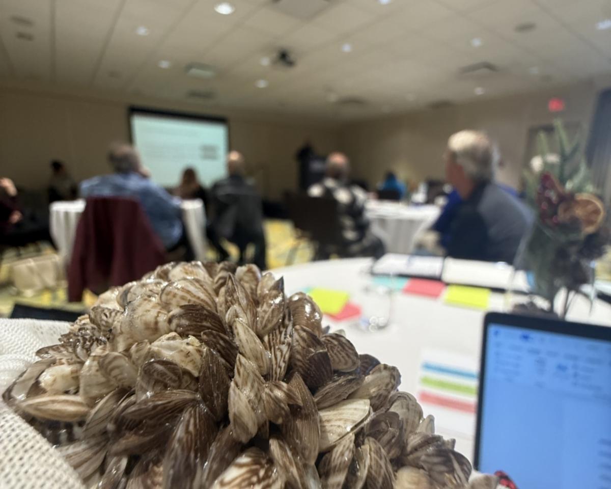 Invasive Mussel Working Group, November 2025