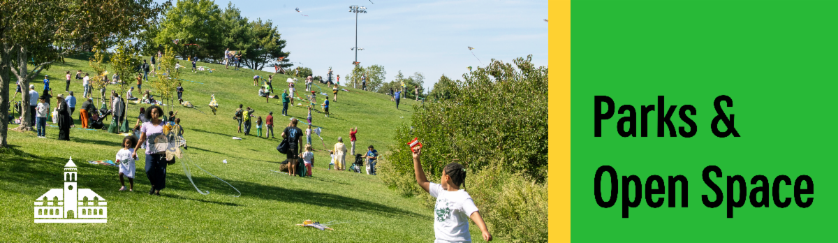 Children and adults waving colorful flags and streamers walking down a sunny hillside in Cambridge. Text reads Parks and Open Space