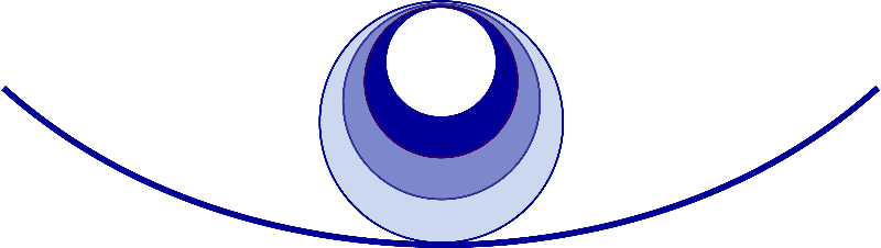FSS Logo