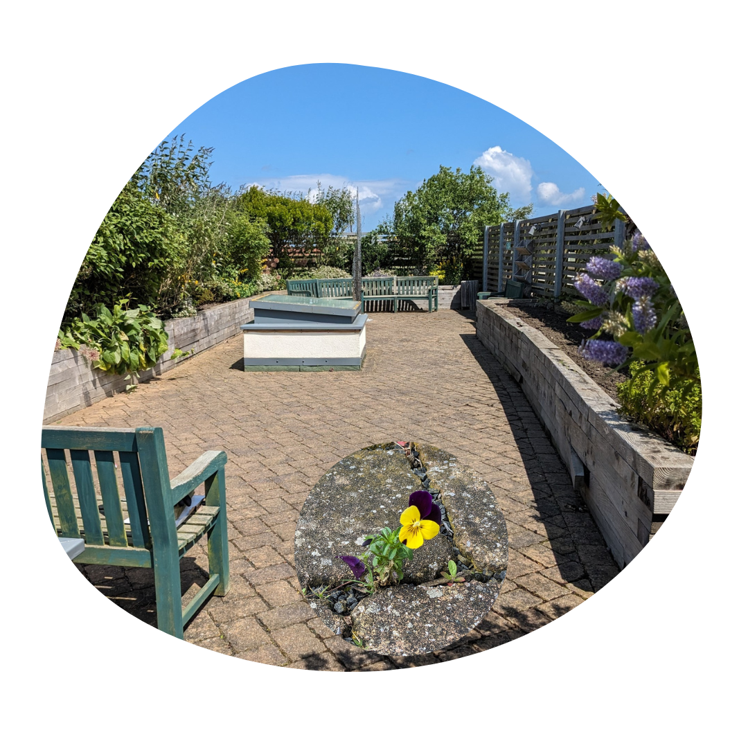 St Benedict's Bulletin 💙💛