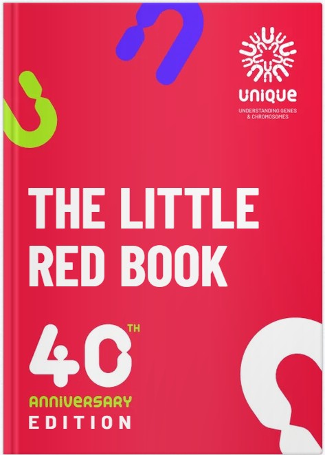 Imagen de la portada de El pequeño libro rojo