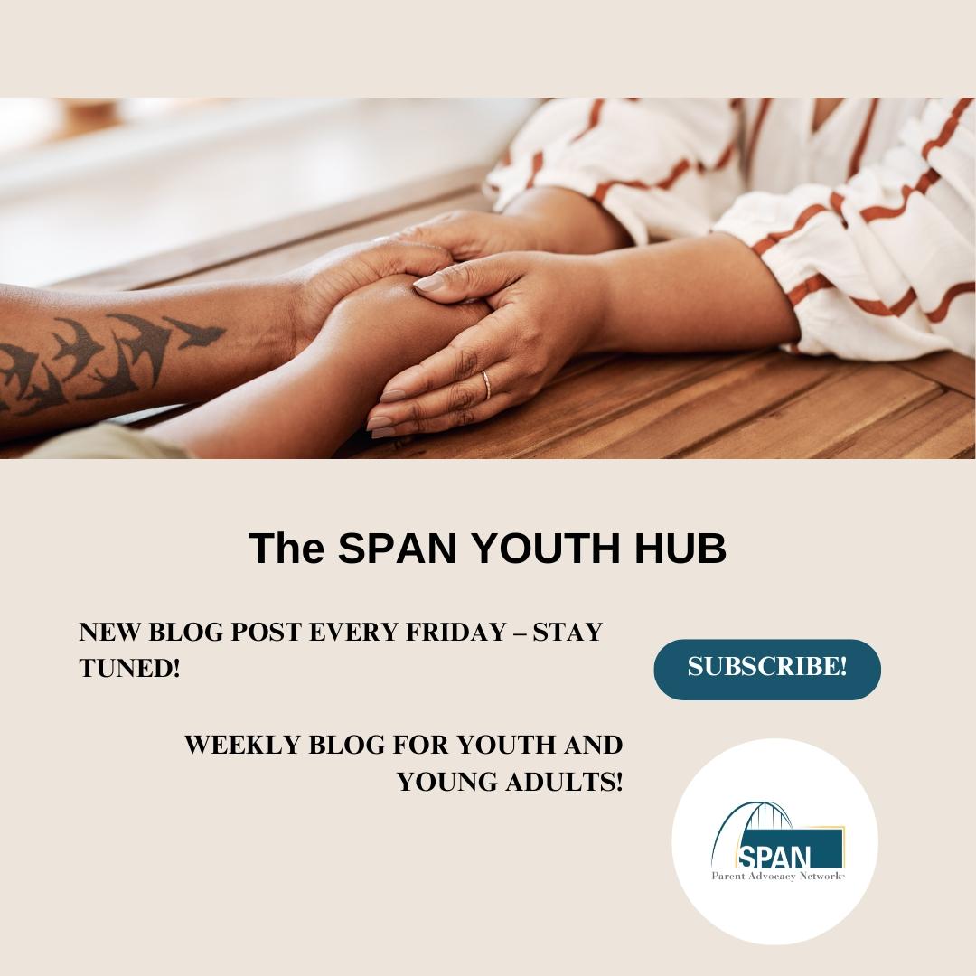 Imagen gráfica del SPAN Youth Hub