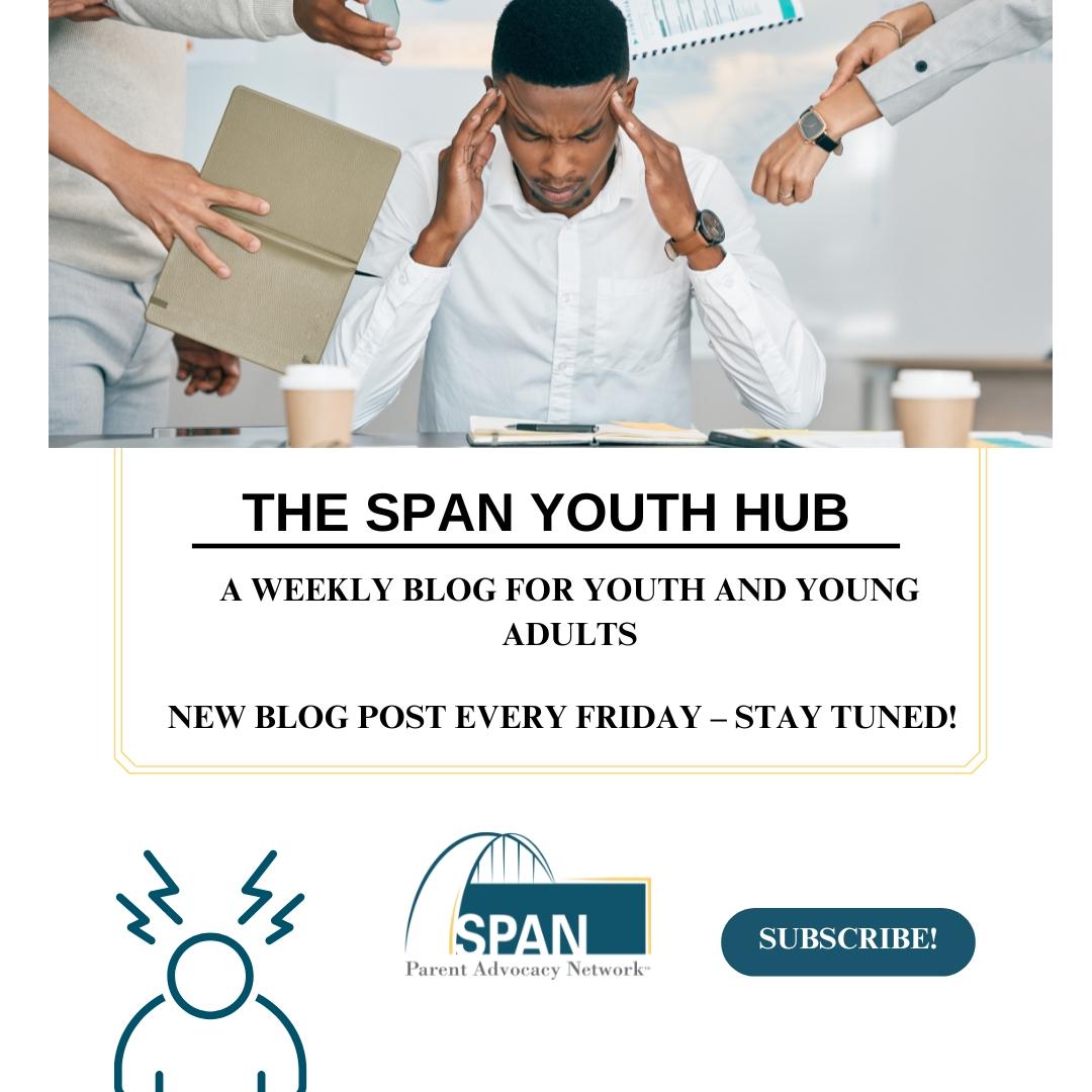 Imagen gráfica del SPAN Youth Hub