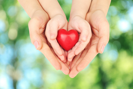 adult hands are holding a child's hands, which are holding a heart