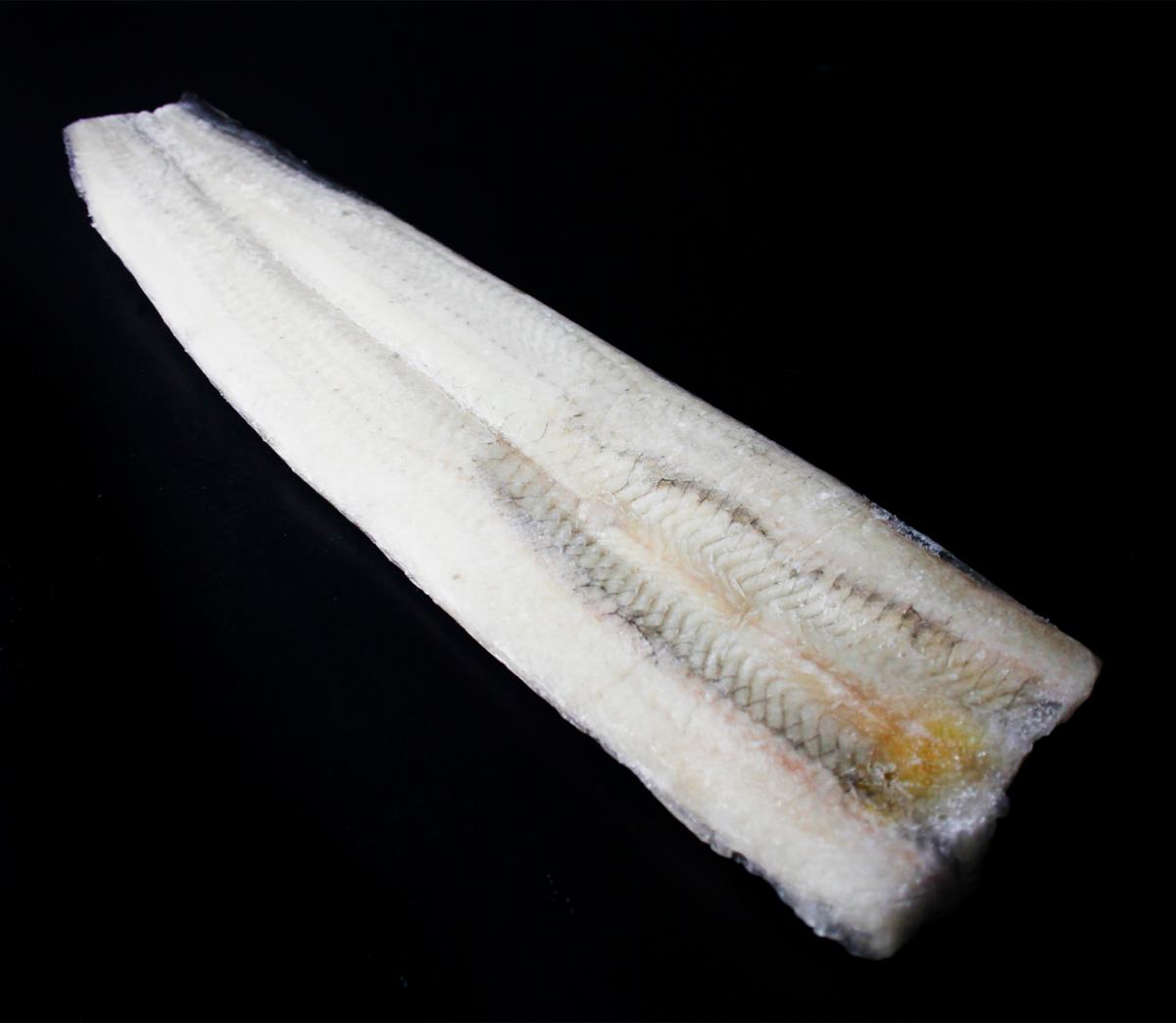 EEL200