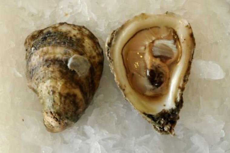 Great Tuesday Specials