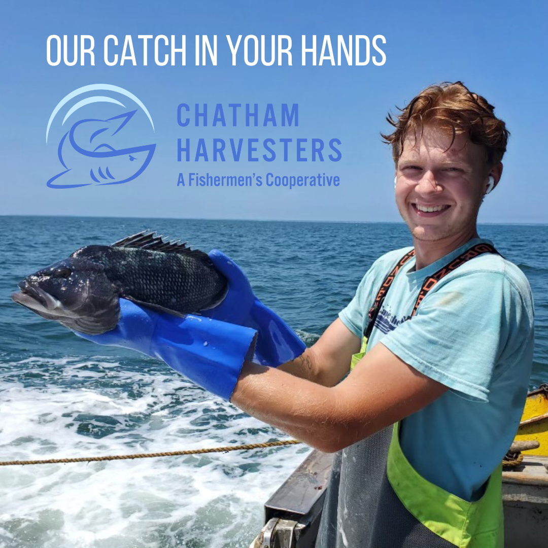 Plymouth Farmers Market Vendor Highlights