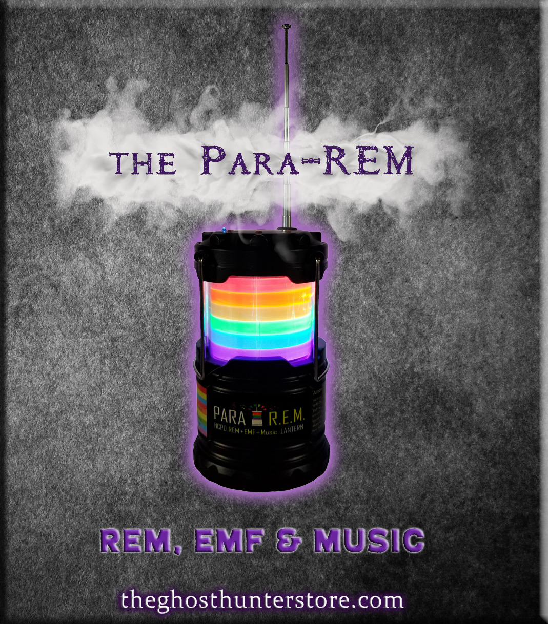 The ParaREM EMF, REM and Music