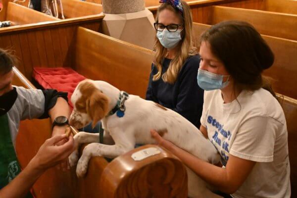 dog-biscuit-at-St.-Lukes-blessing-600x400.jpeg