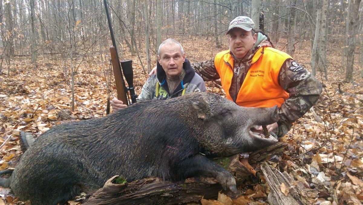Russian Boar