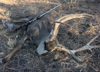 Wilderness Expeditions