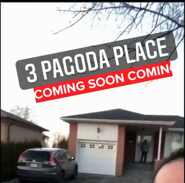 xNEmDusvC3ZQAoJYv.mp4-animated.gif