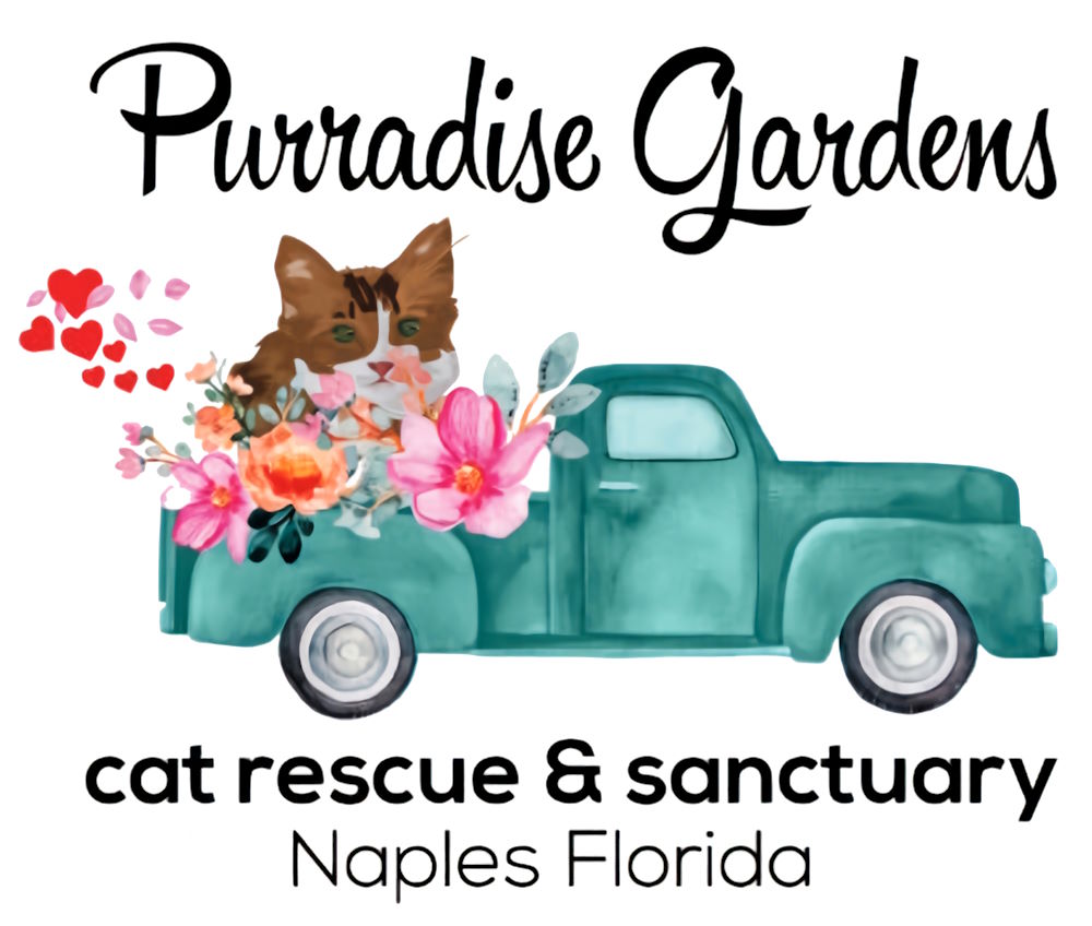 Purradise-Gardens-a-501c3-non-profit-cat-rescue.jpg