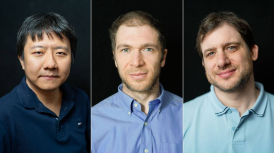 Fields Medal
