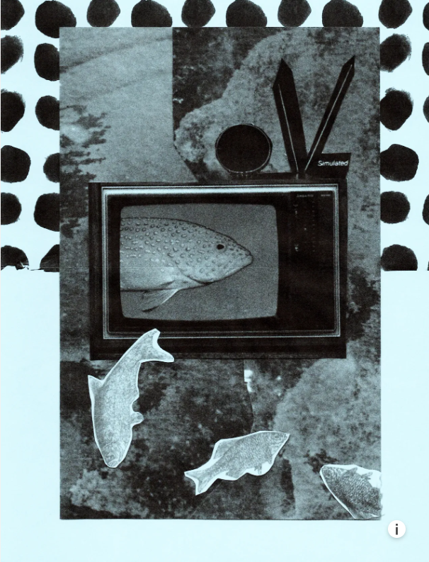 zine with fish