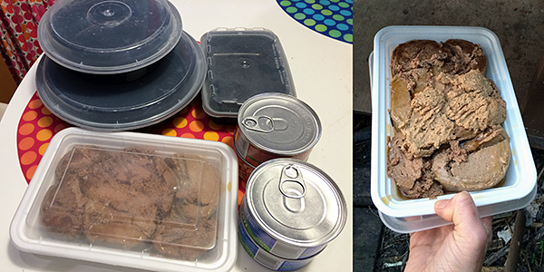 hot food delivery containers