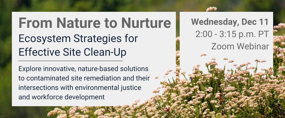 Nature to Nurture Webinar: Wednesday Dec 11, 2024 2:00-3:15pm PST Explore innovative, nature based solutions to contaminated site remediation and their intersections with environmental justice and workforce development.