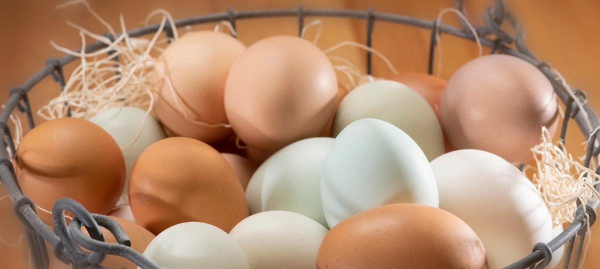 Photo of fresh eggs in a metal wire basket.