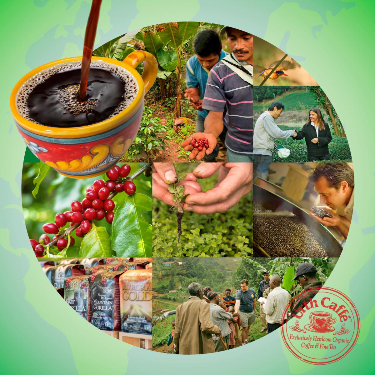 Photo of regenarative farmimg images witrh, coffee cup, farmers and Urth coffee bags. 