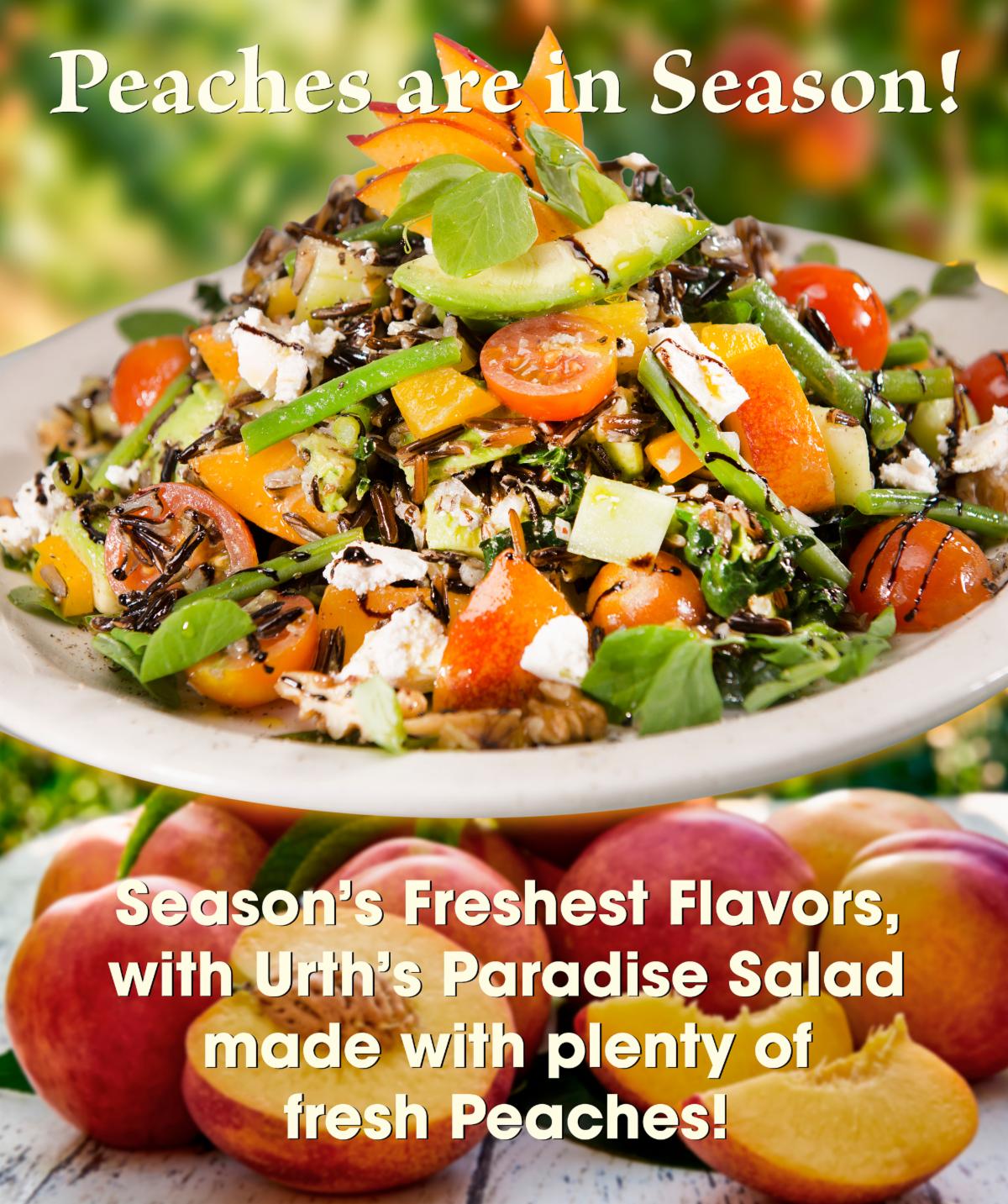 Photo of Urth Caffé Paradise salad, with peaches, and text.