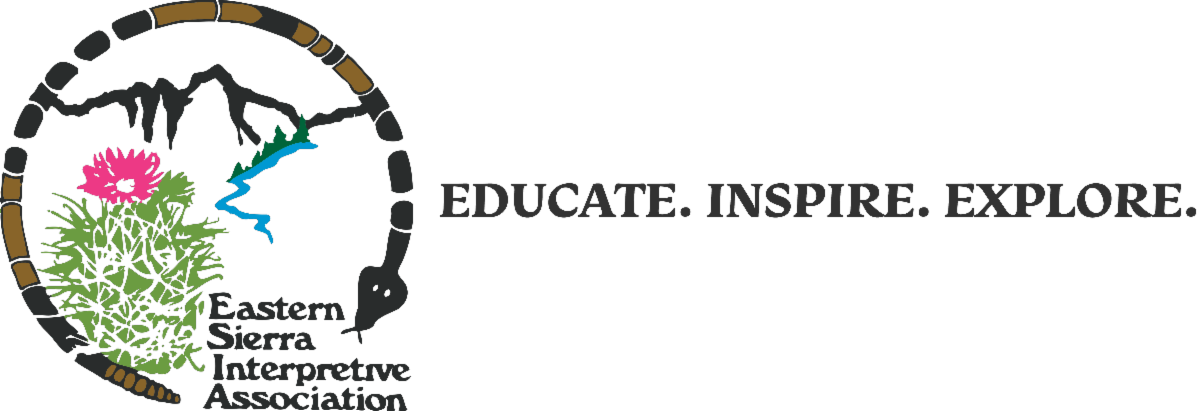 ESIA Color Logo w_ slogan.png