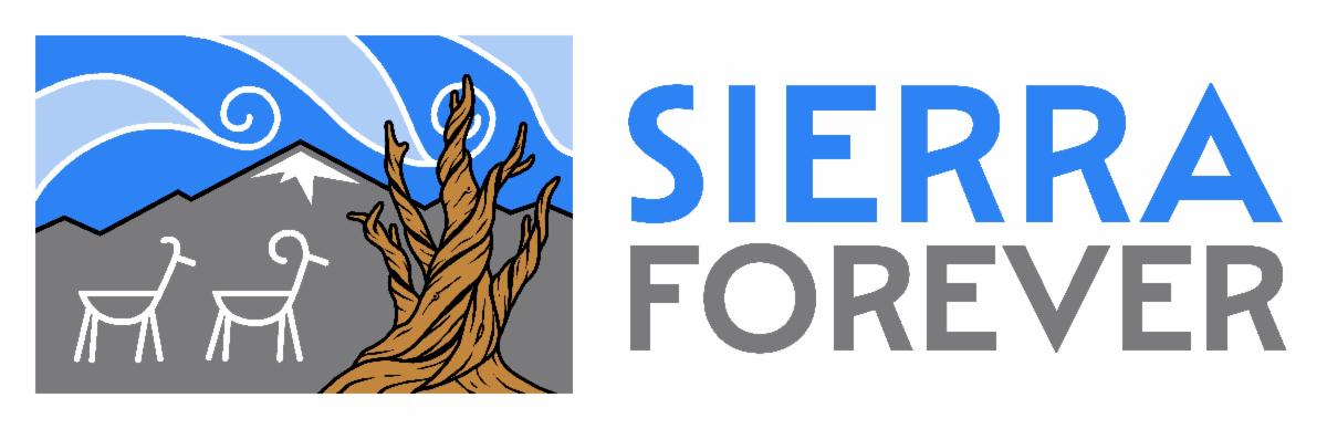 non-profit roots