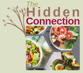Logo for The Hidden Connection