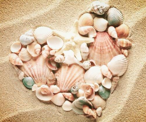 Heart made of sea shells and the starfish lying on a beach sand summer background