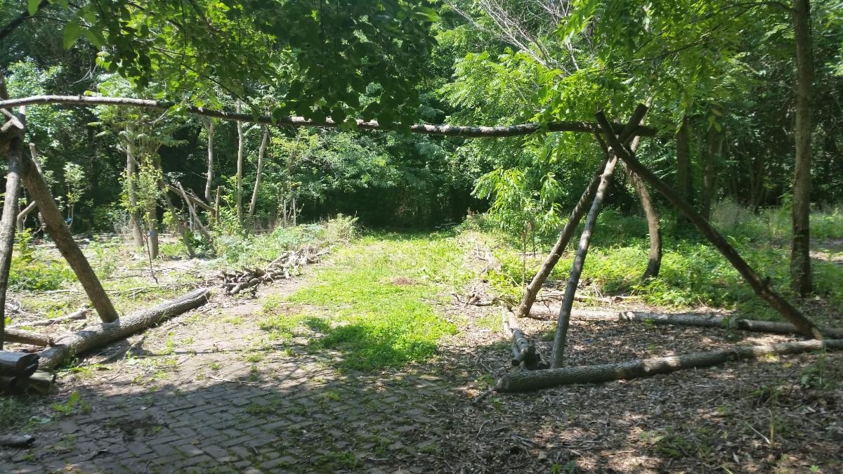 urban permaculture in Baltimore from Permaculture Podcast