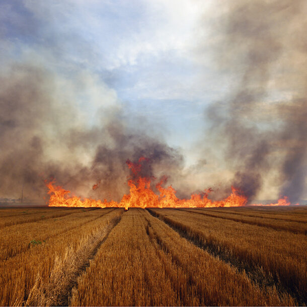 field on fire