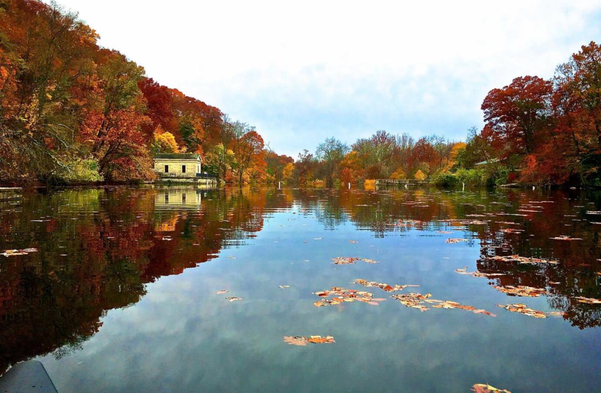 Image looking out onto Lake Roland in the fall. 
