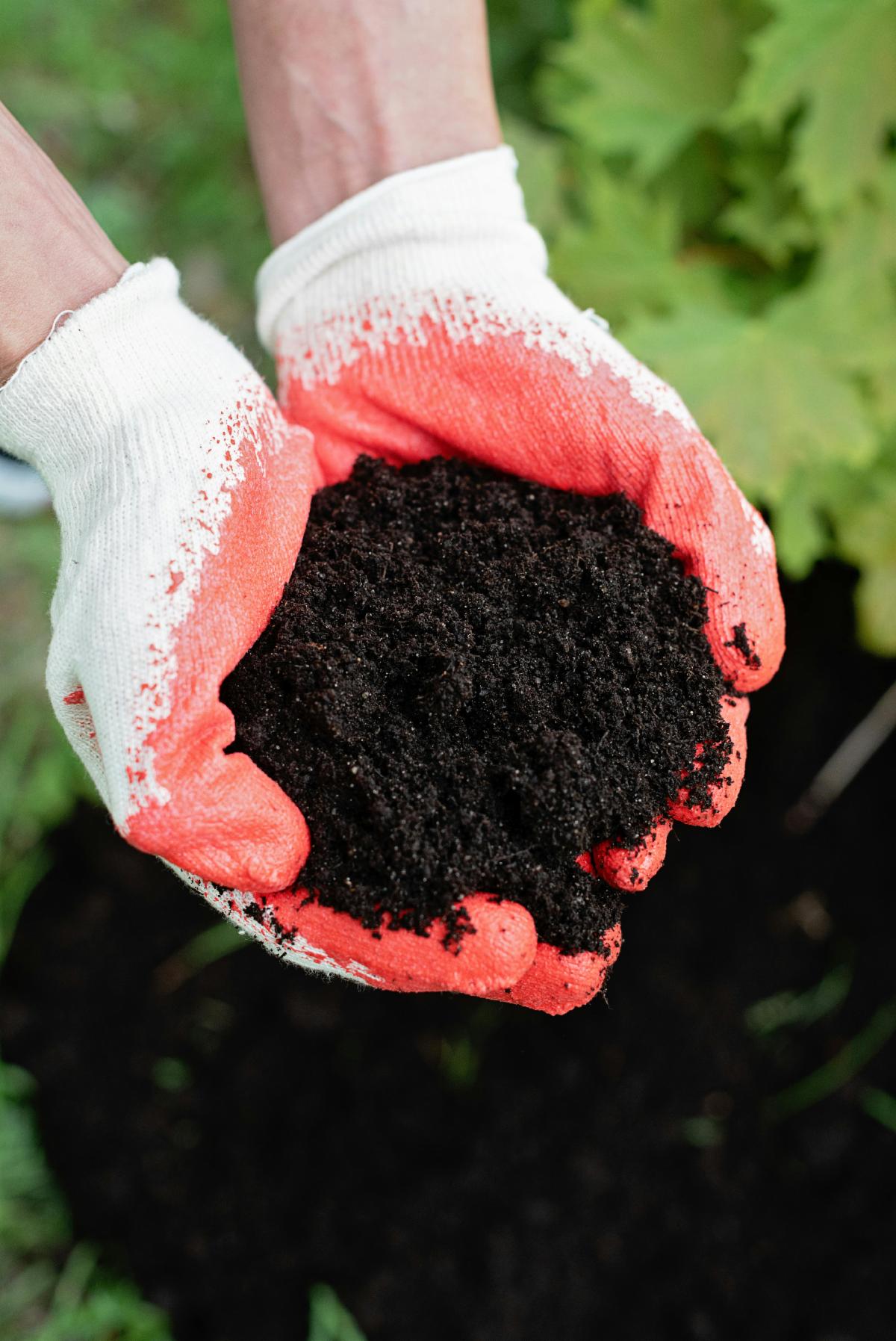 person with compost in their hands