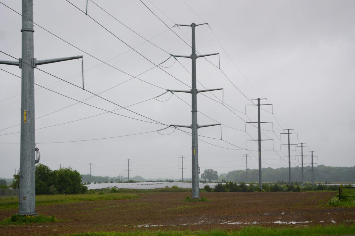 Telephone lines in a field