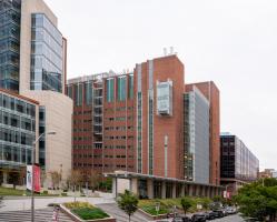 Exterior image of the School of Dentistry building 
