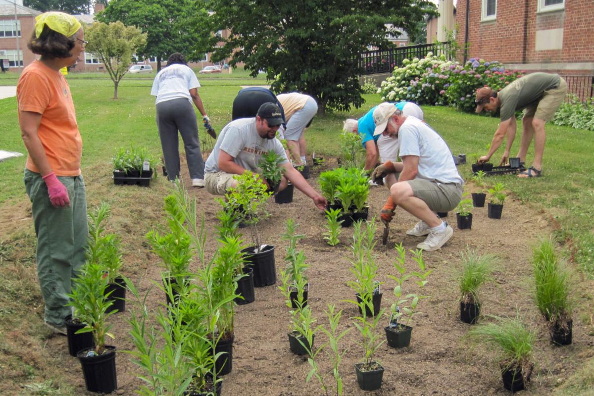 Image of people planting a rain garden