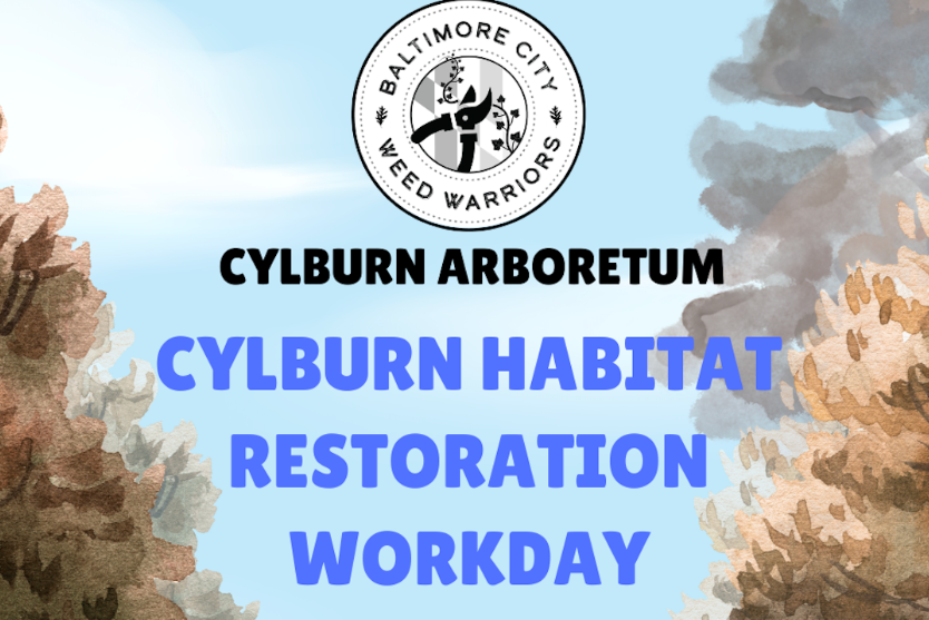 Image of trees in the background with the text Cylburn Arboretum, Cylburn Habitat Restoration Workday