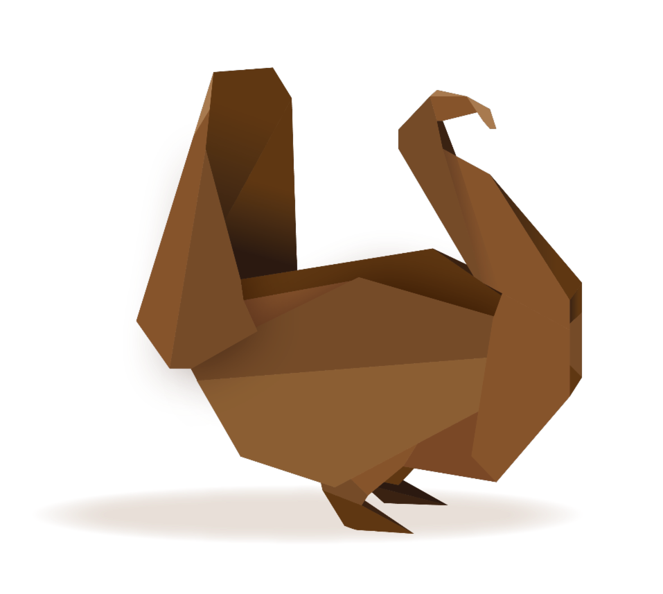 Origami Turkey